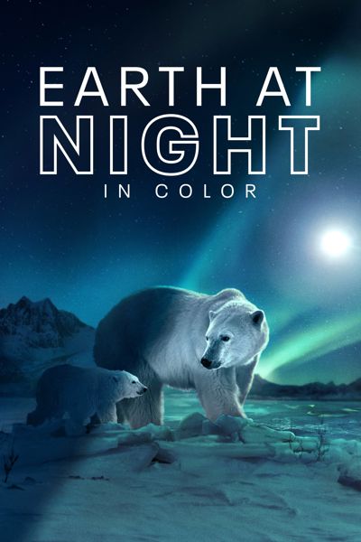 Earth at Night in Color poster