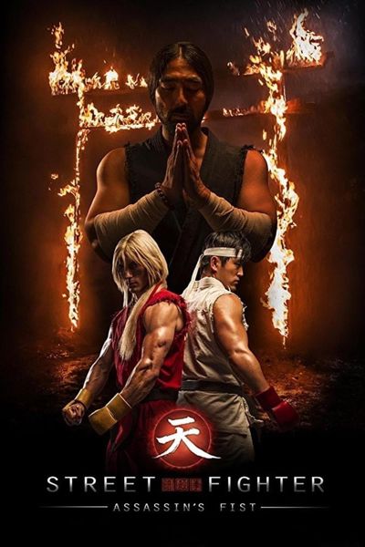 Street Fighter: Assassin's Fist poster