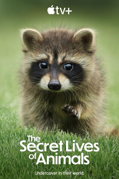 The Secret Lives of Animals poster