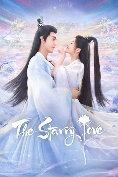 The Starry Love poster