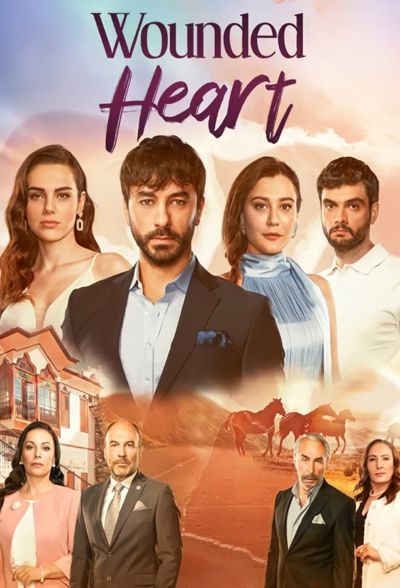 Wounded Heart poster