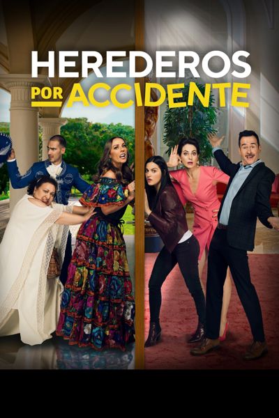 Herederos por accidente poster