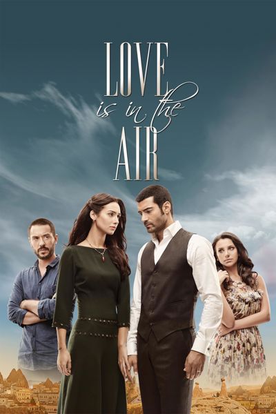 Love Is in the Air poster