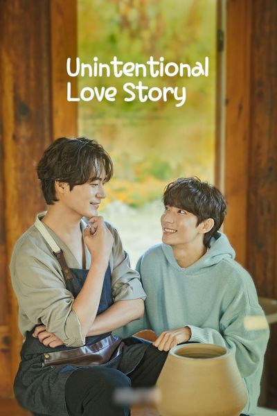 Unintentional Love Story poster