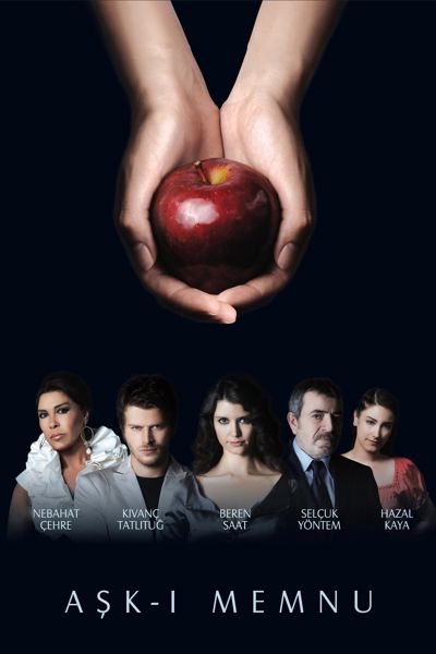 Forbidden Love poster