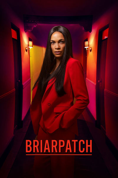 Briarpatch poster