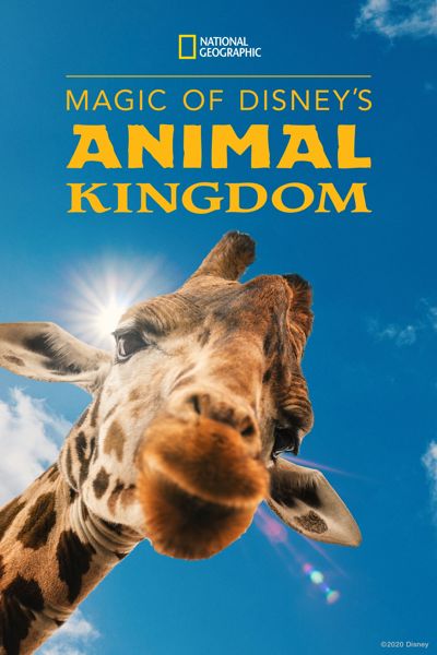 Magic of Disney's Animal Kingdom poster