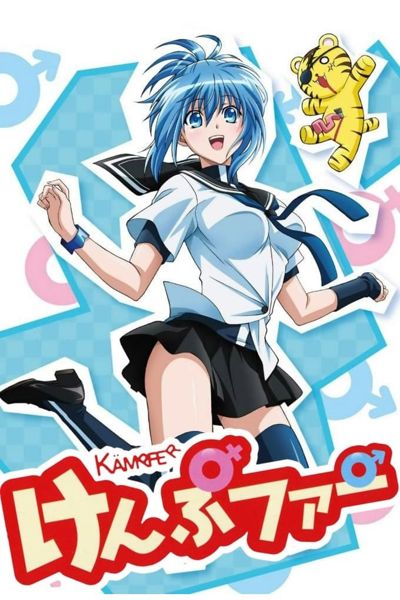 Kämpfer poster