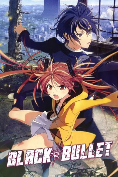 Black Bullet poster