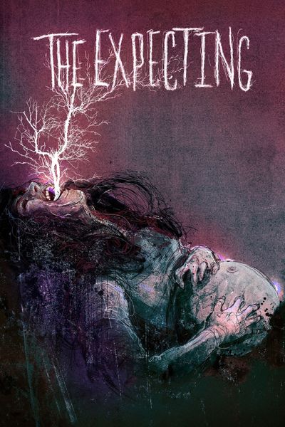 The Expecting poster