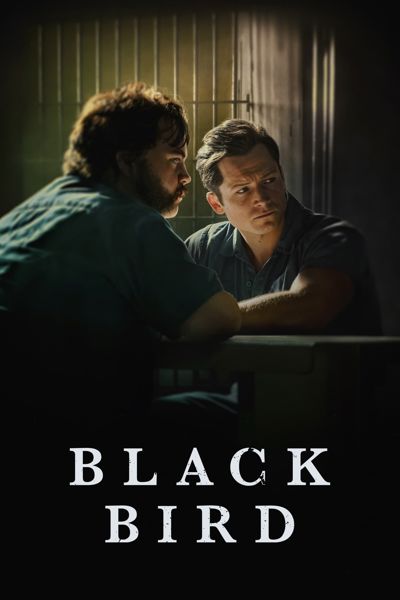 Black Bird poster