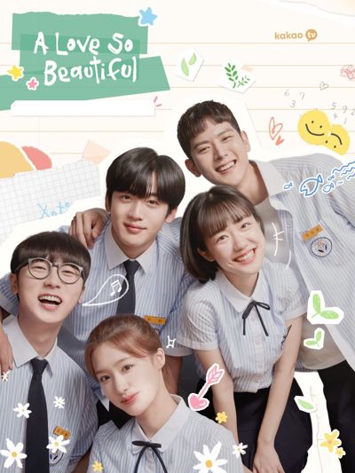 A Love So Beautiful poster